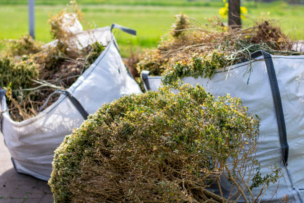Best Full-Service Junk Removal  in Kirkland, IL